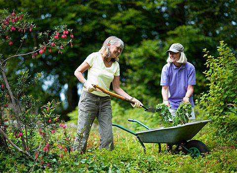 Gardening